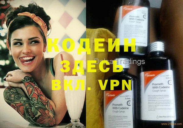индика Лабытнанги