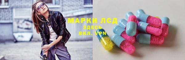 индика Лабытнанги