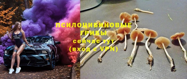 герыч Ладушкин