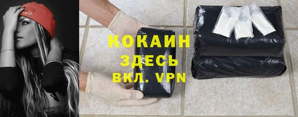 твердый Алексеевка
